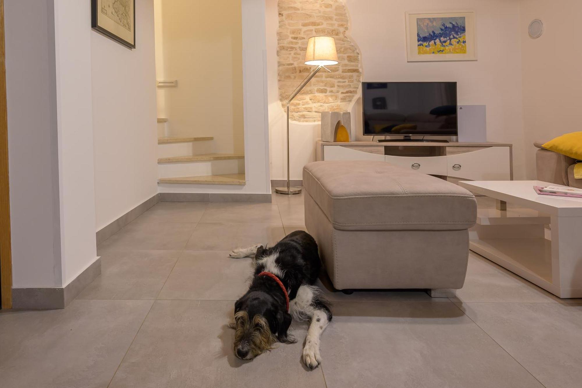 Villa Azinetti Štokovci Zewnętrze zdjęcie
